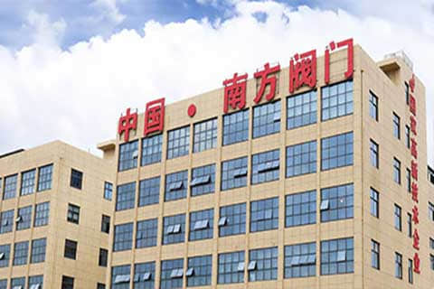 南方閥門集團(tuán)外貿(mào)獨(dú)立站建設(shè)與谷歌SEO/SEM